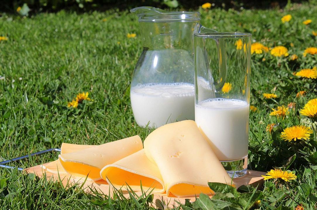 Bere latte e mangiare formaggi riduce il rischio di tumori? Lo studio