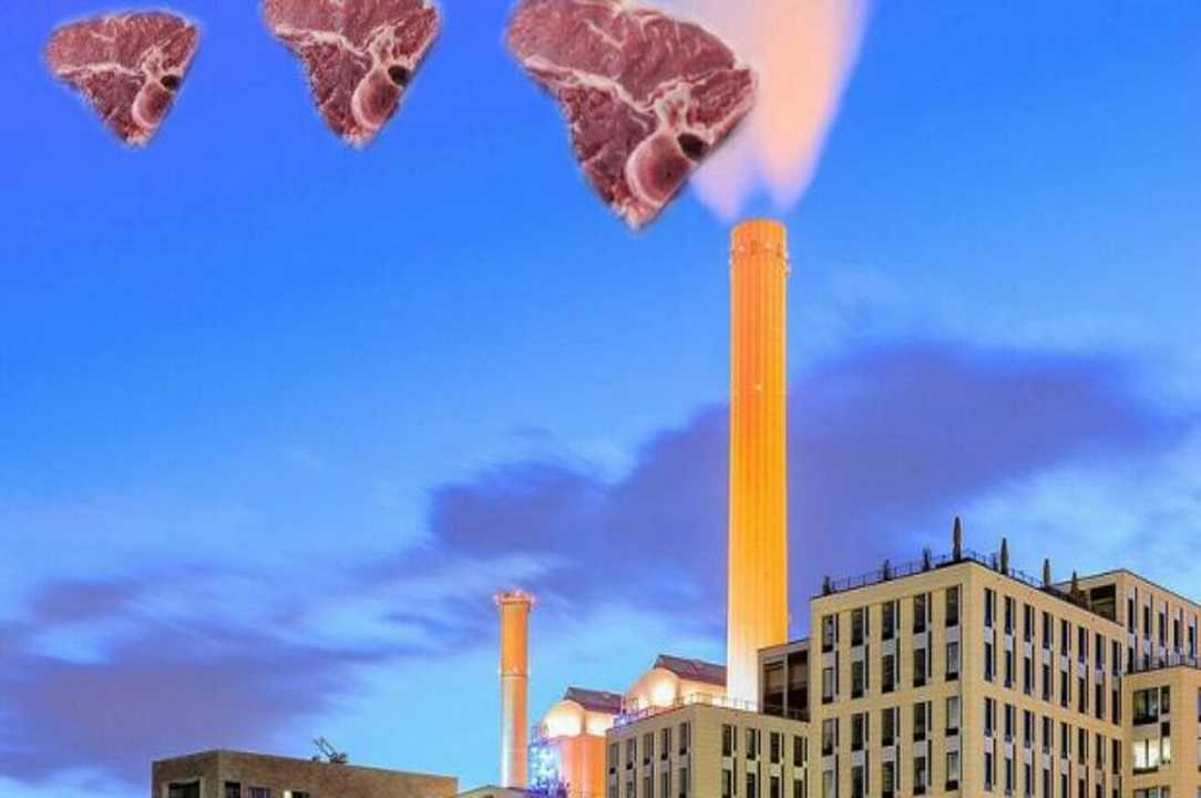 Carne: un’azienda americana progetta un surrogato dall’aria