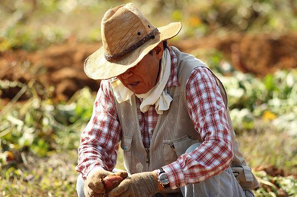 Bonus Cura Italia agli agricoltori: sistema in tilt e migliaia di domande bloccate