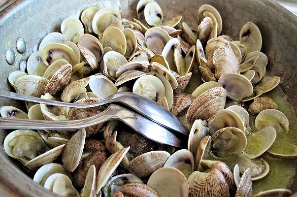 Pesce: vongole e telline a rischio per i prossimi due anni