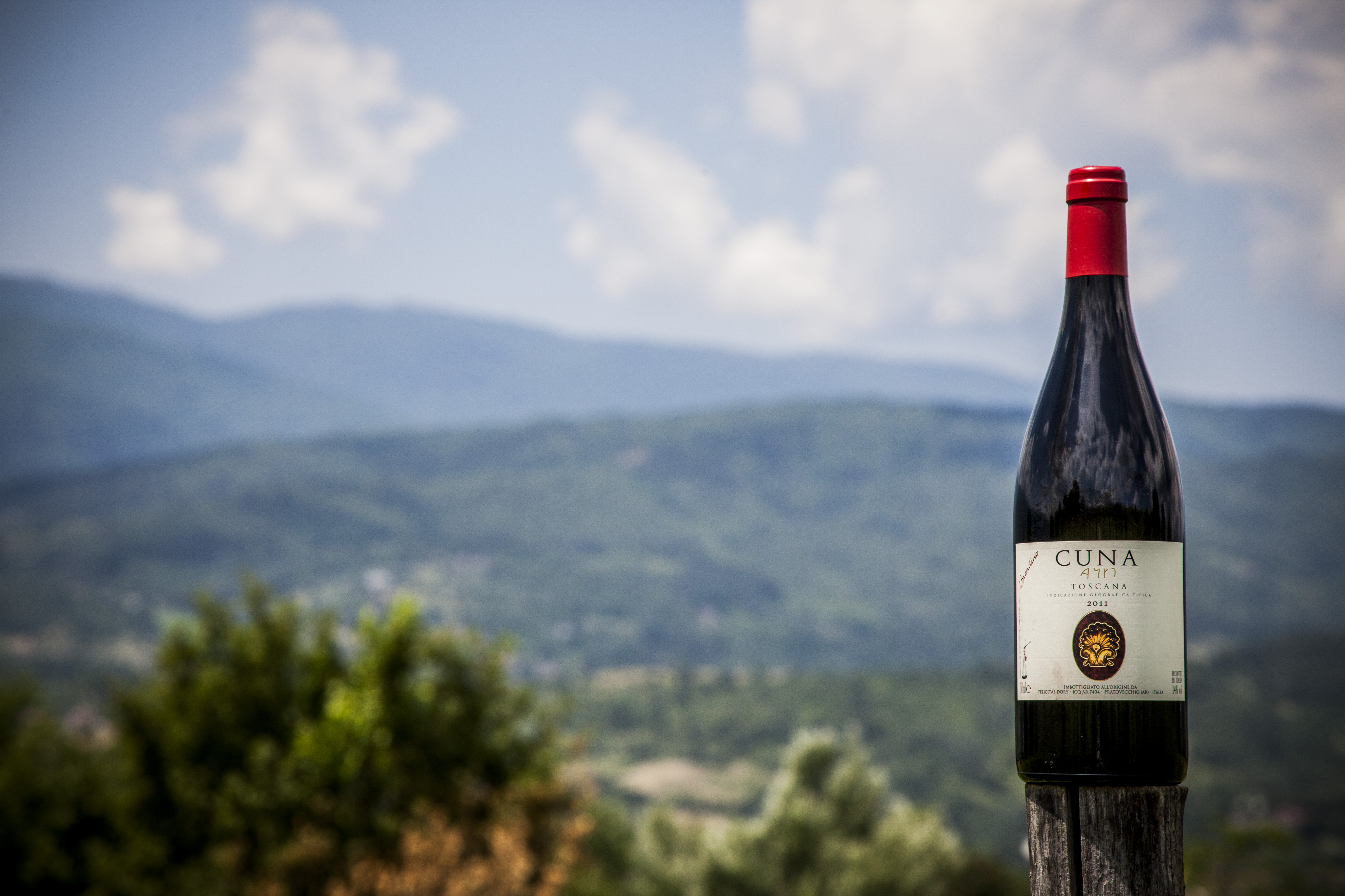 Pinot nero di Podere Santa Felicita