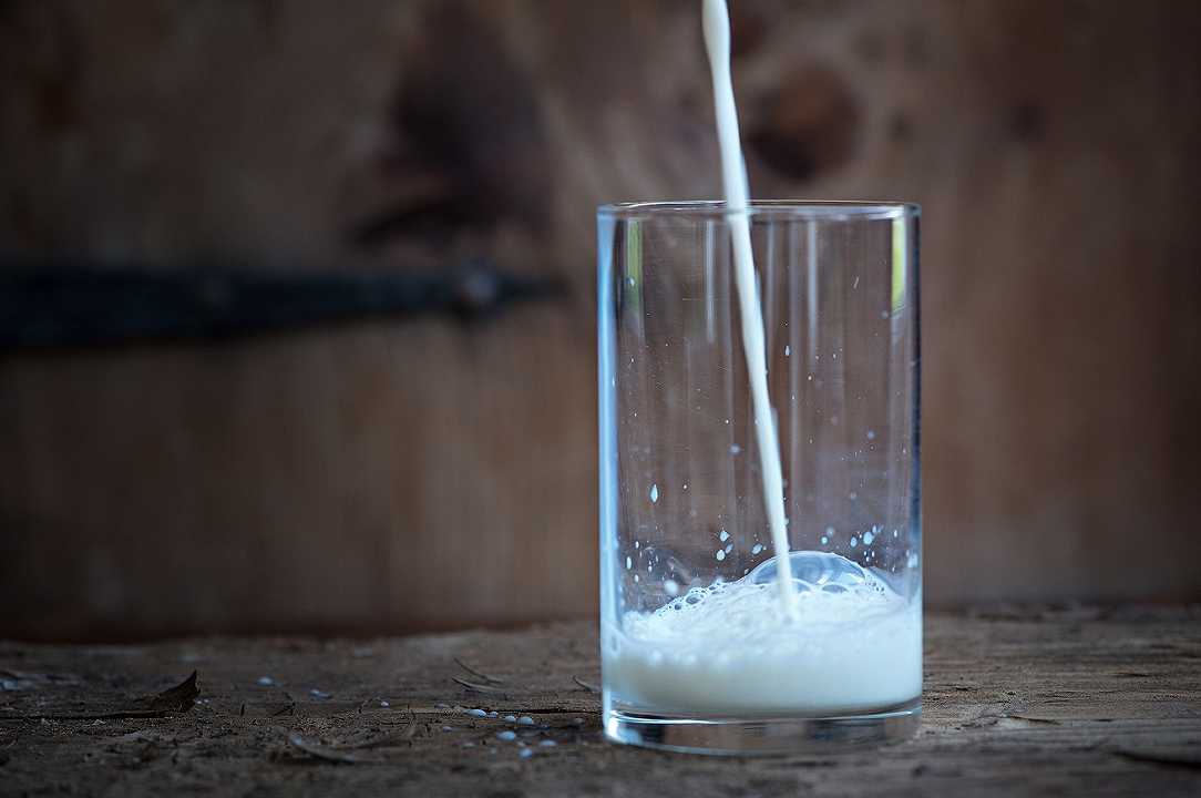USA: Borden Dairy, il secondo produttore di latte, dichiara bancarotta