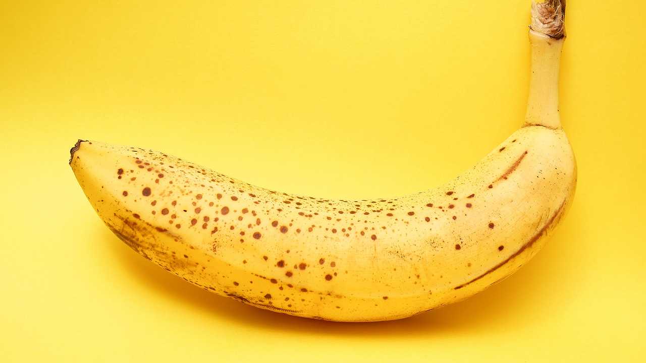 Provate empatia per la solitudine della frutta? Non siete i soli, a quanto pare