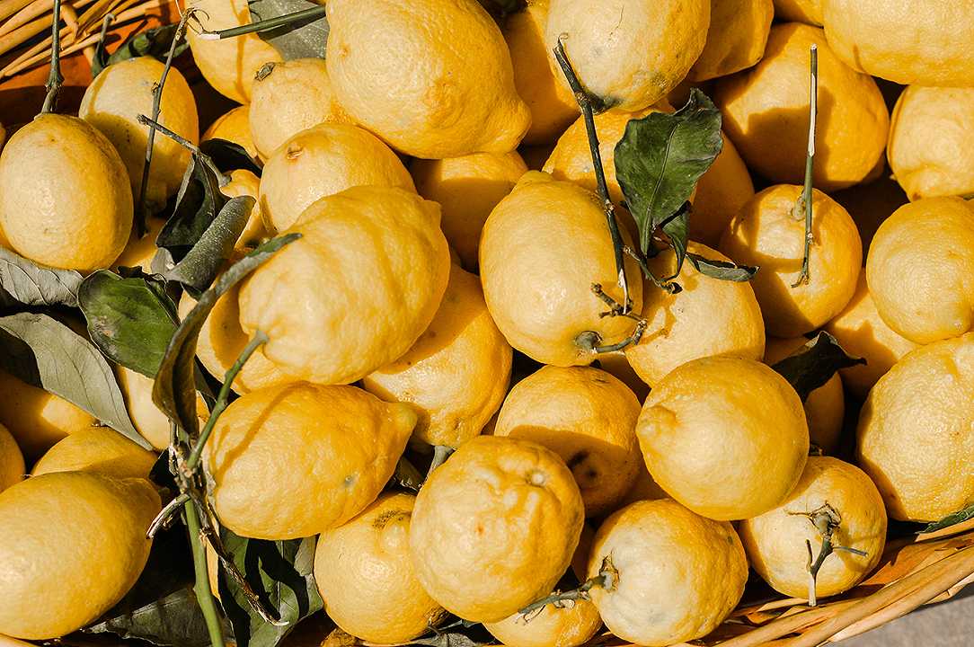 Limoni a ruba: vengono usati come disinfettante e il prezzo raddoppia