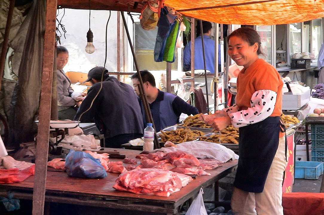 Coronavirus in Cina: trasmesso da serpenti all’uomo nei mercati di pollame e pesce