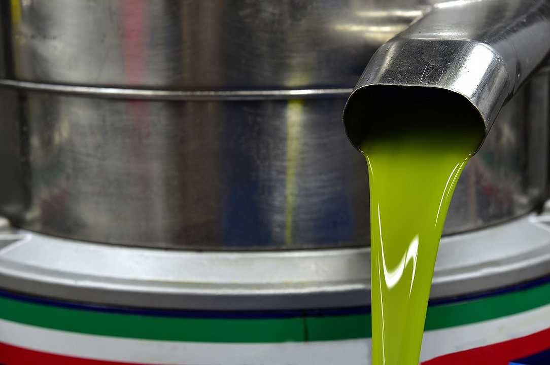 Ancona: olio vecchio venduto come olio extravergine d’oliva, due persone indagate