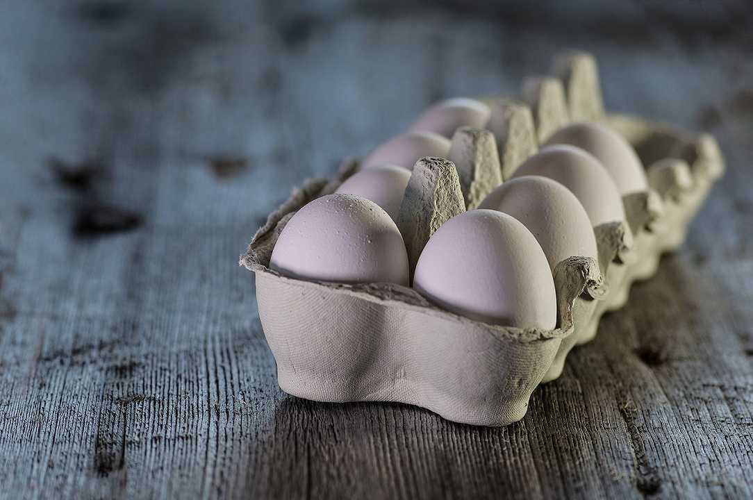 Uova bio ritirate dal mercato: allarme salmonella tra i consumatori
