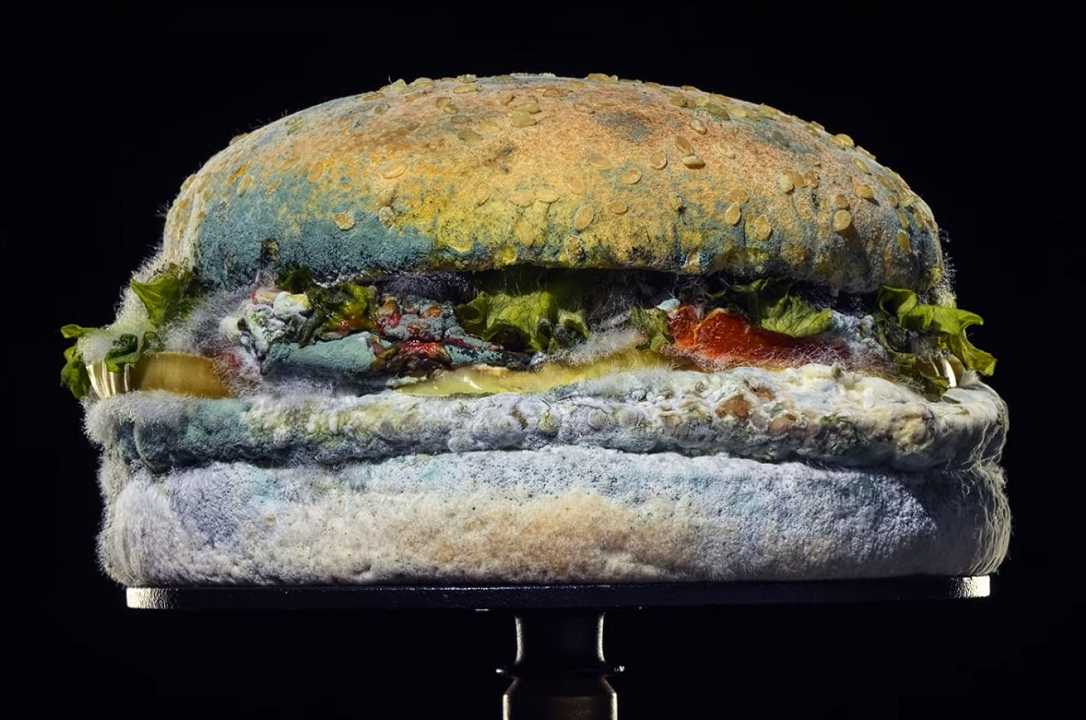 Burger King promuove il panino ammuffito: addio ai conservanti nel Whopper