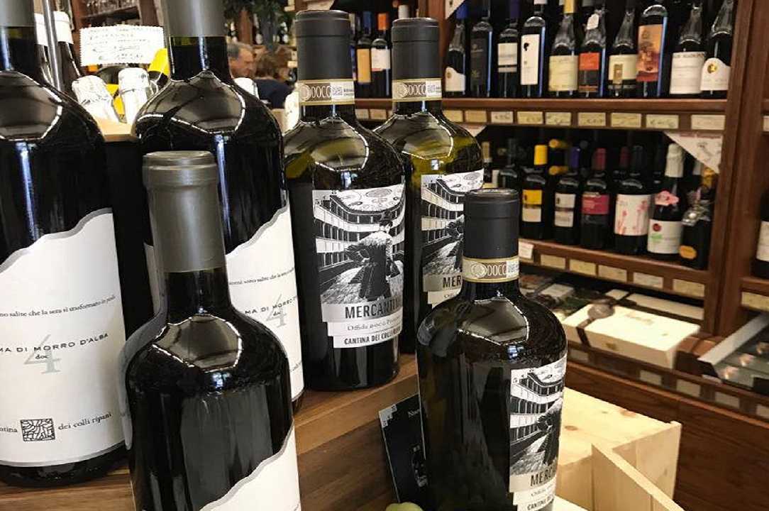 San Benedetto, Cantina dei Colli Ripani: ladri rubano dalla cassa, ma lasciano stare il vino