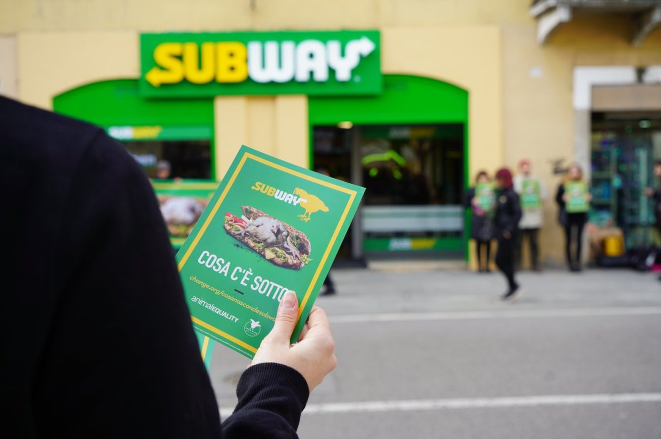 Fast food Subway: ad Amsterdam si protesta per le condizioni dei polli utilizzati per i panini