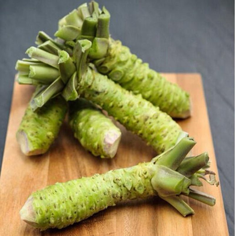 wasabi-pianta