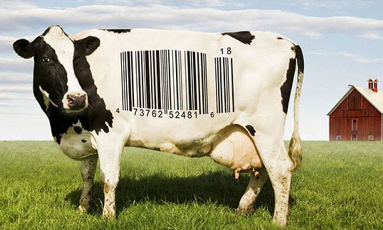 Food inc