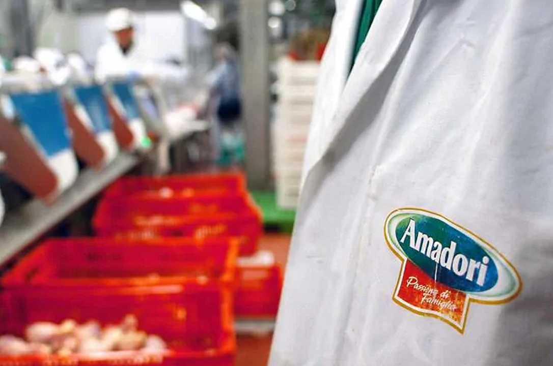 Amadori si espande nel mercato dei suini: acquistato il prosciuttificio Rugger