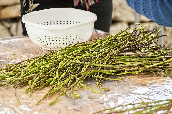 Napoli: cade nel Vesuvio mentre cerca asparagi, aveva “voglia di risotto”