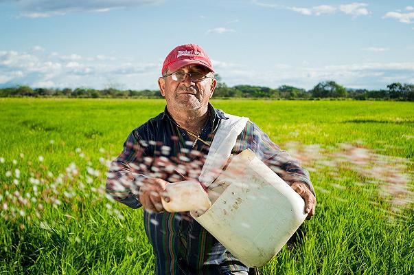 Bonus per lavoratori agricoli: come richiedere i 600 euro