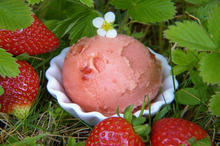 Gelato Day 2020 Il Gusto Dell anno Per Festeggiare Virtualmente Lo 