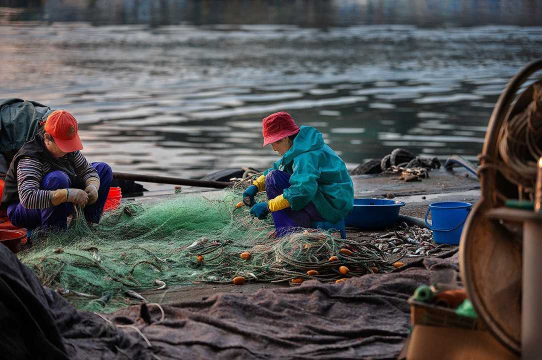 Pesca: reti di rame per sostituire la plastica negli allevamenti ittici