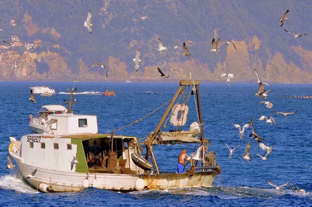 Pesca: arriva il limite di velocità minimo per i pescherecci nelle zone di restrizione