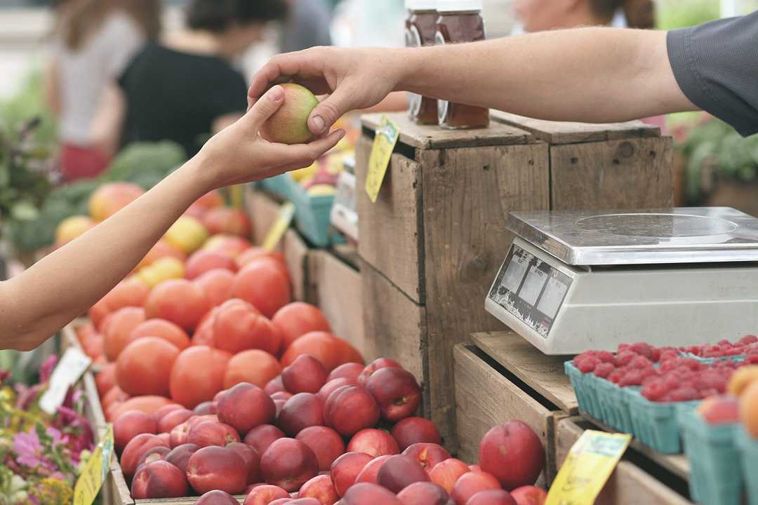 Beni alimentari: le vendite al dettaglio crescono del +0,8% a settembre 2021