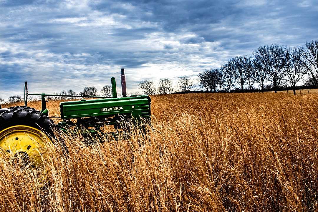 Agricoltura: oltre 7 mila imprese in meno nel primo trimestre