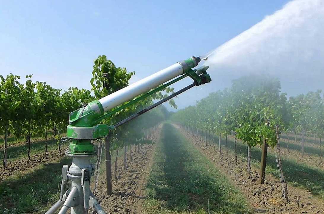 Agricoltura, Italia “sprecona” di acqua: 20 mld di metri cubi per la produzione di cibo