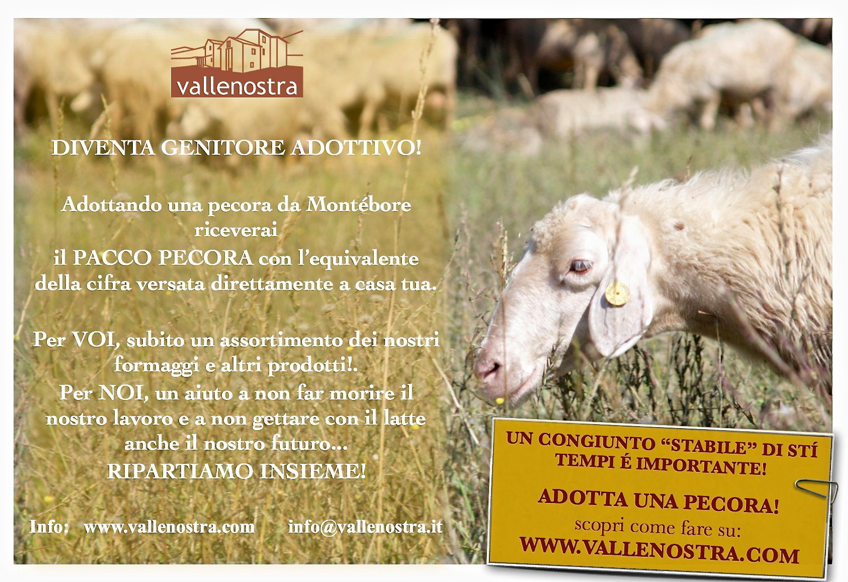 cooperativa Vallenostra