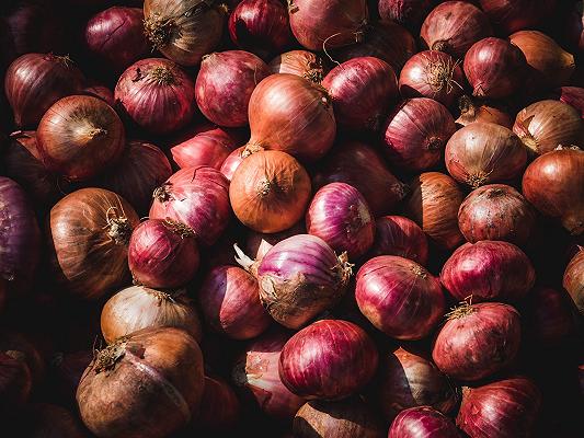 Cipolla Rossa di Breme: depositato il marchio collettivo per tutelarsi dalle contraffazioni