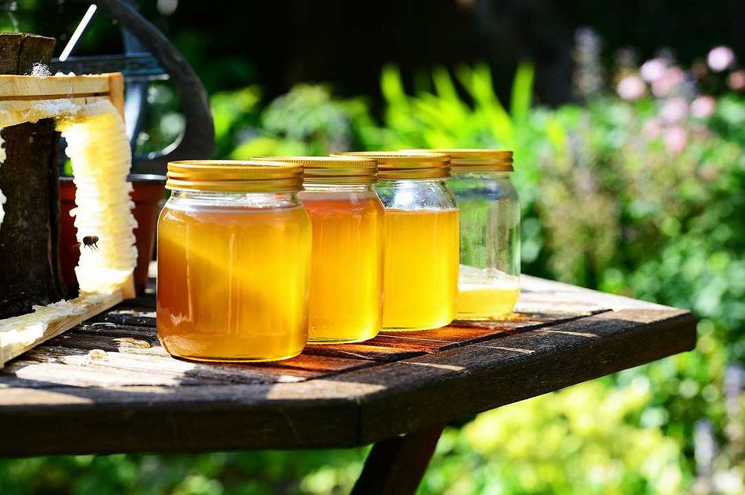 Miele: in Lombardia calo del 20% della produzione