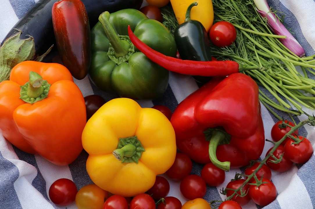 Frutta e verdura biologica: in Italia nel 2021 ne sono state consumate 340 mila tonnellate
