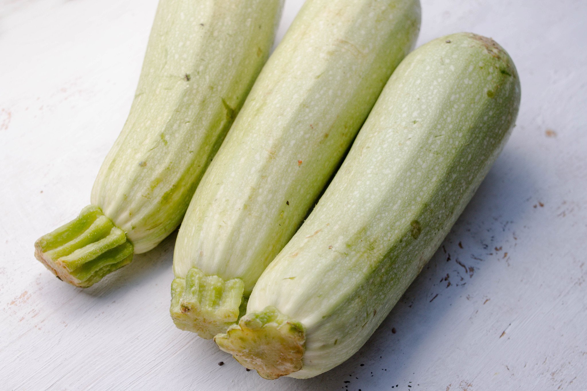 Le zucchine 15 semi-TAPIRO-lunga a righe le zucchine-Zucchini-Zucchina 