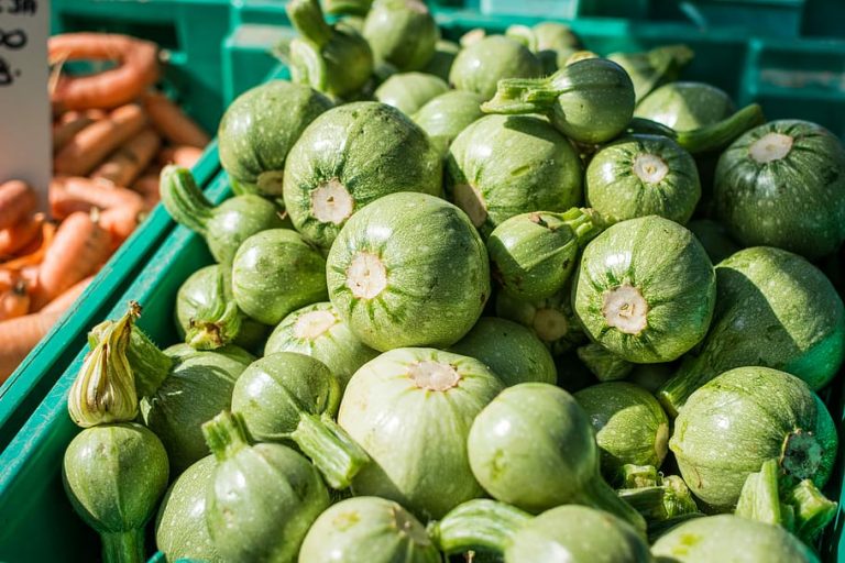 Semi Di Zucchino Tondo Di Nizza, Per Orto E Vaso, Varietà Pregiata