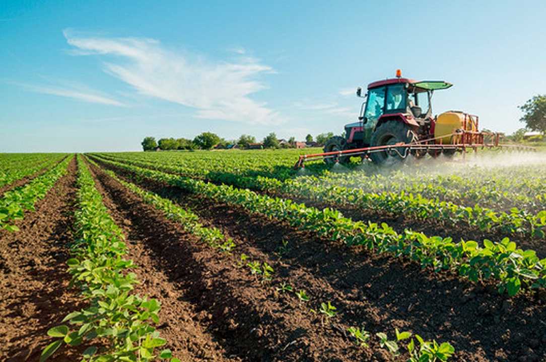 Agricoltura, pubblicato il V bando per i contratti di filiera: in palio 1 miliardo e 203 milioni