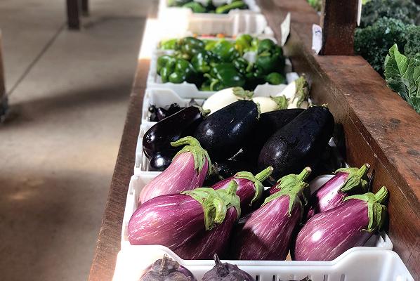 Tipi di melanzane: le 10 varietà da riconoscere