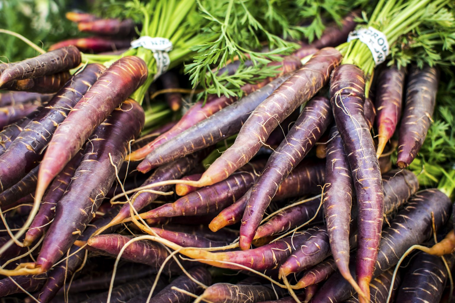 500 Semi Di Carota 'Colmar A Coeur Rouge 2' – Varietà Voluminosa E Resistente Al Freddo, Ideale Per L'Orto