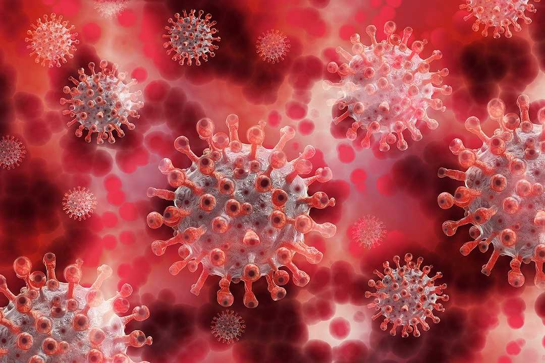 Coronavirus: cinque nuovi casi per il focolaio del ristorante di Savona