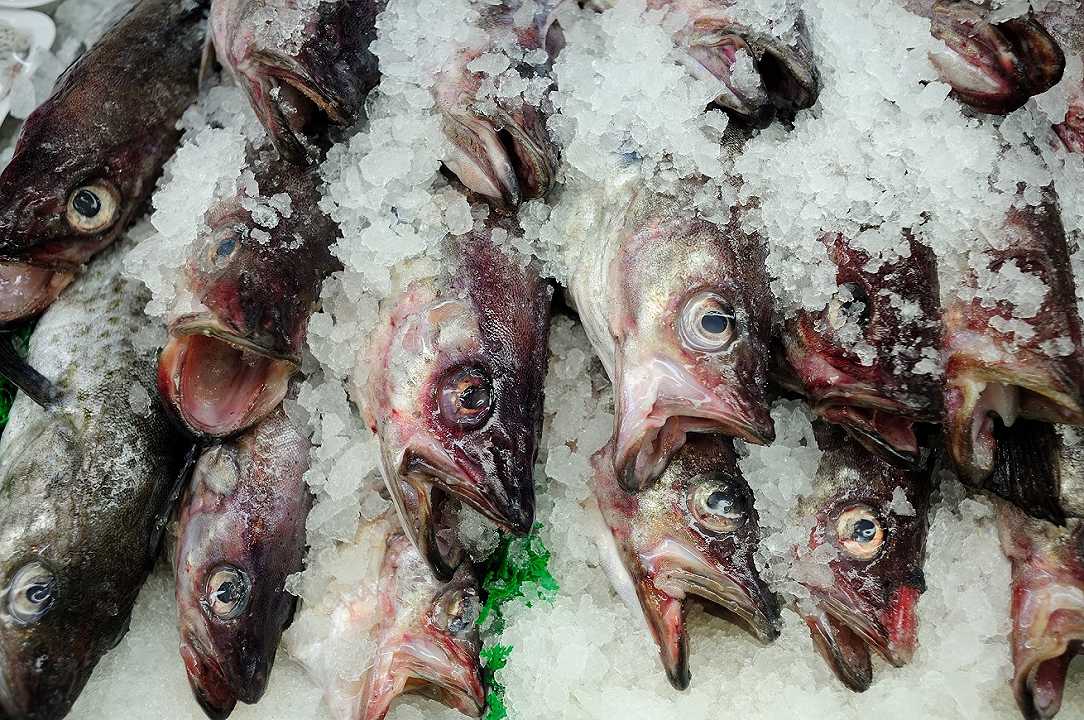 Palermo, beffa per il mercato ittico: chiude per sanificazione a pochi giorni dalla fine del lockdown