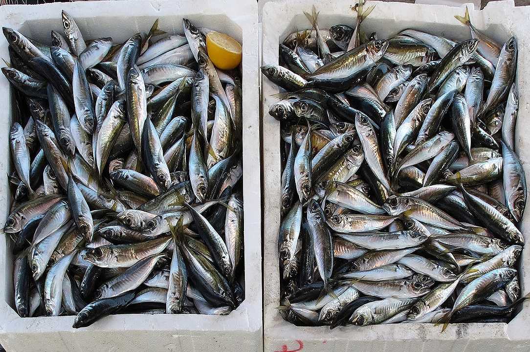Consumi: +30% di vendite per il pesce fresco