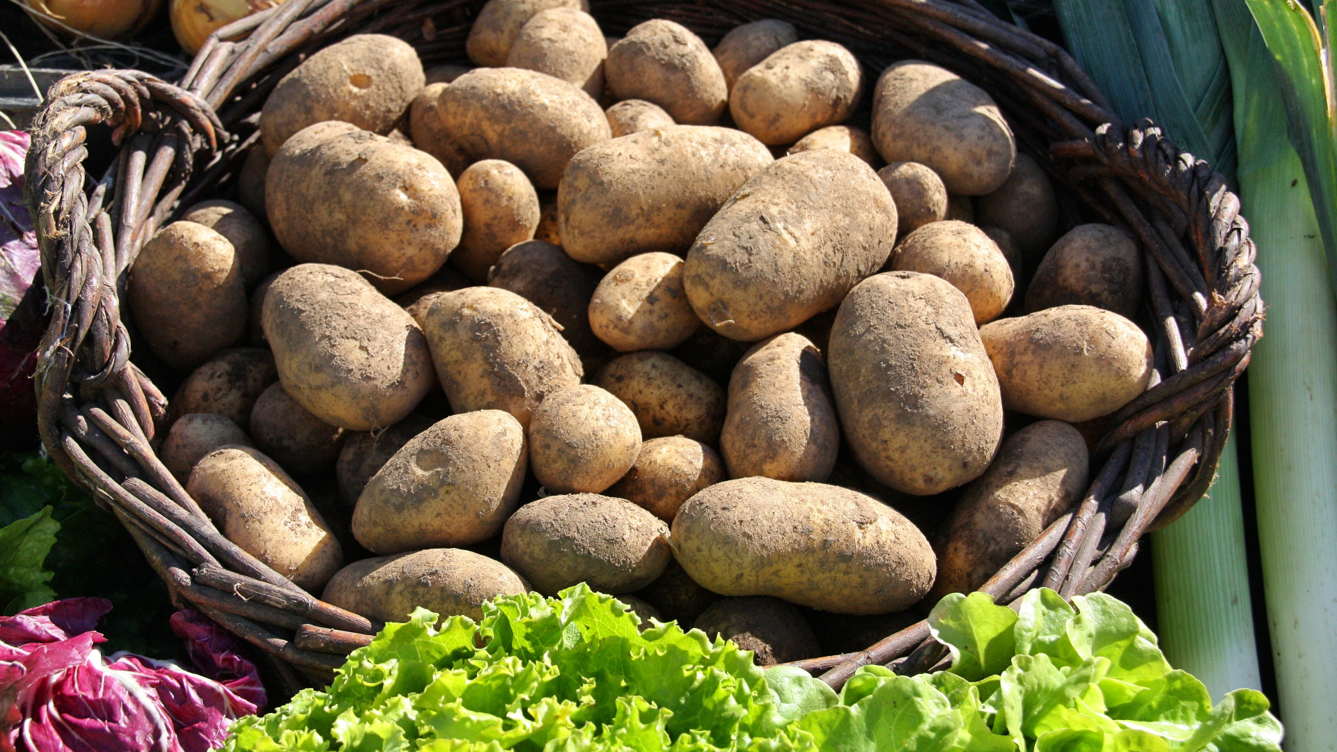 patate-cesto