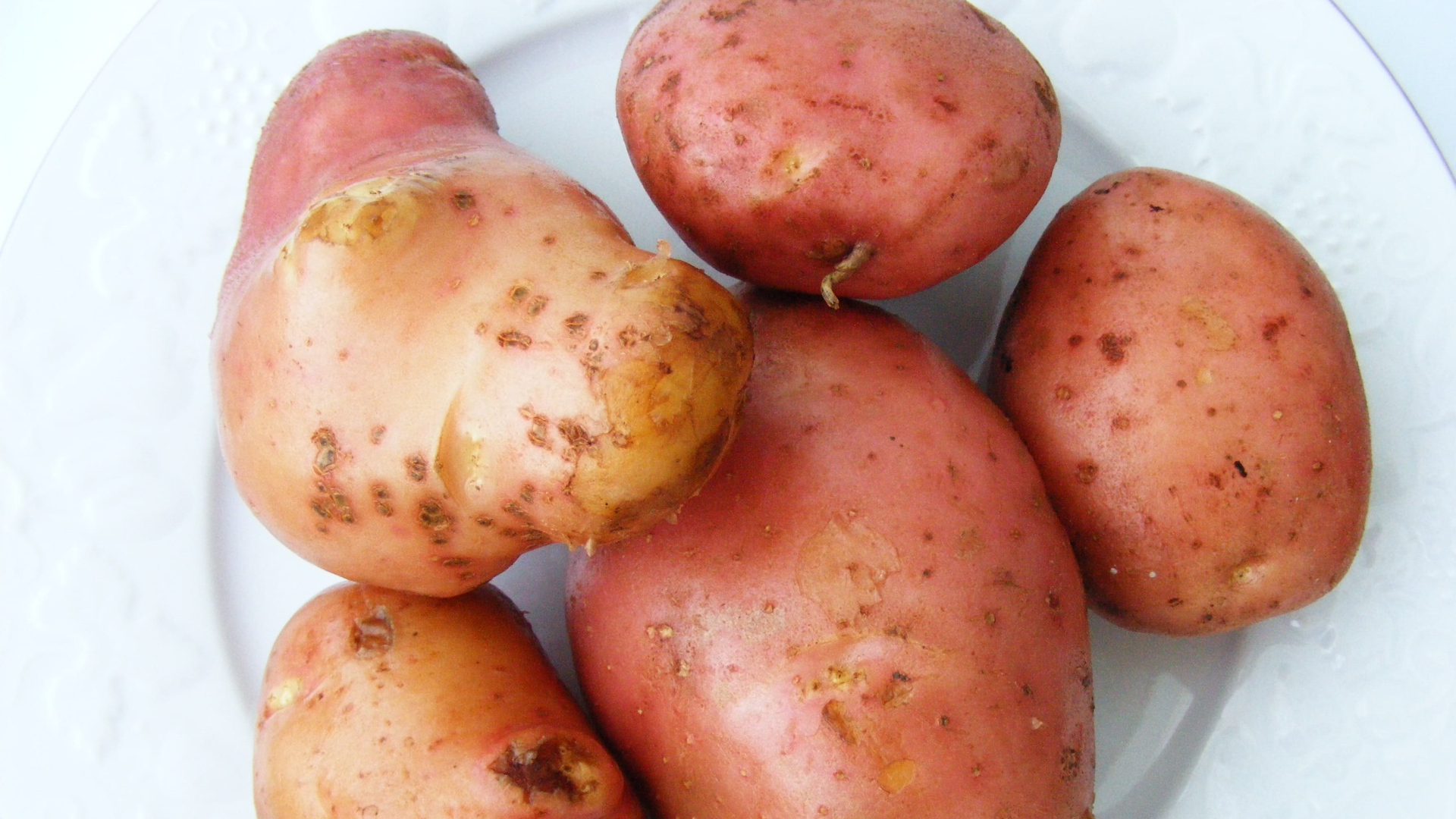patate-rosse