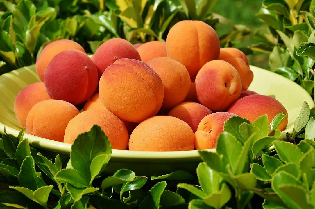 Consumi: ecco i cinque frutti più amati dagli Italiani in estate