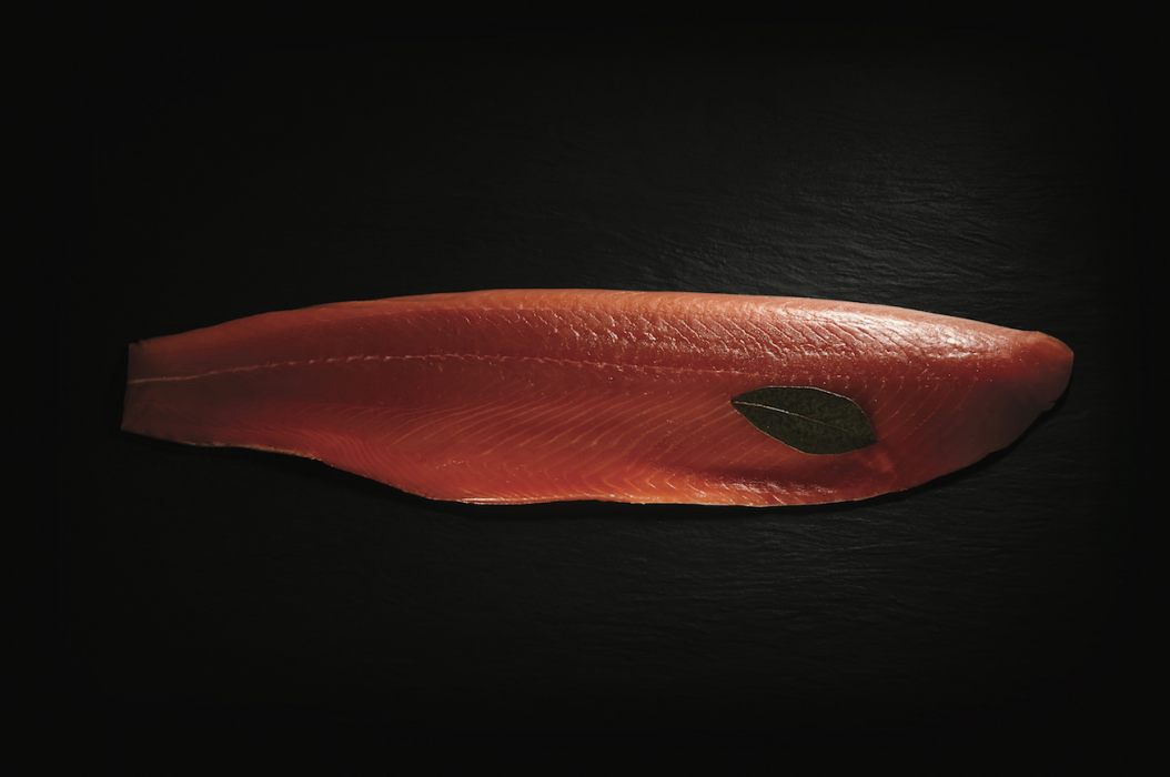 filetto salmone
