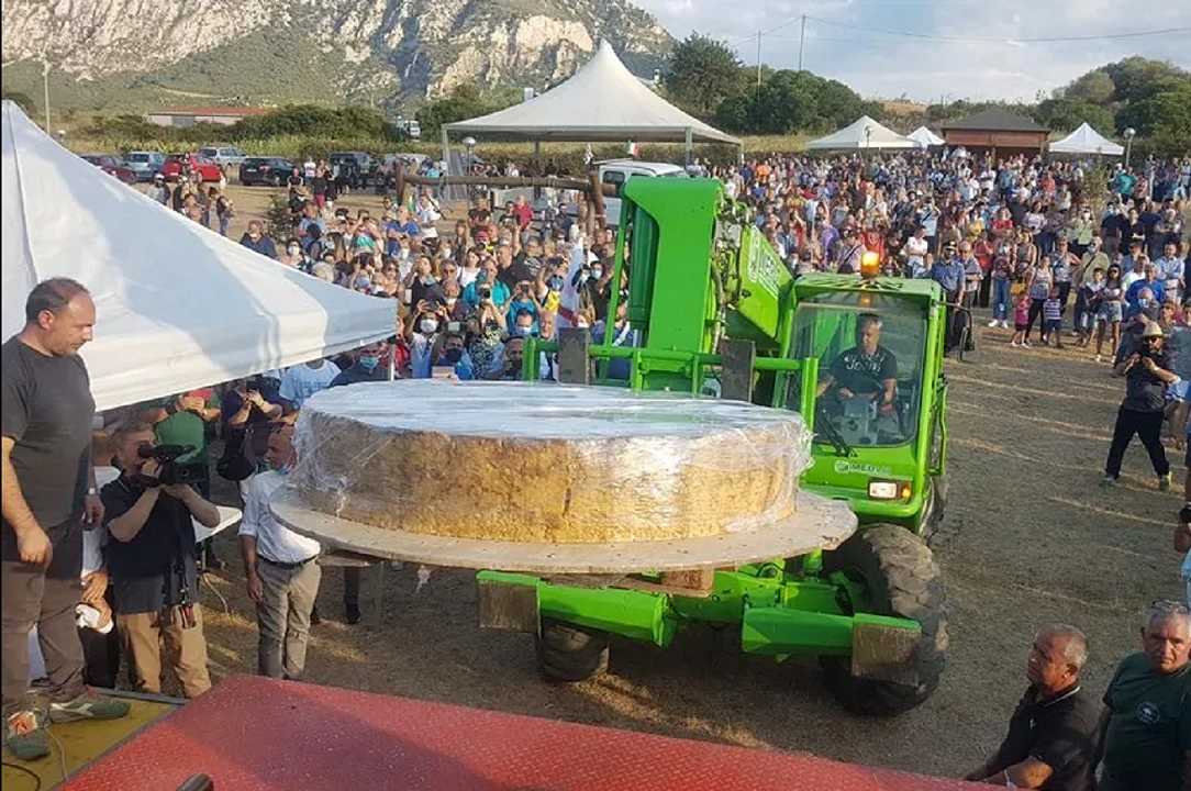 Formaggi: dalla Sardegna il pecorino più grande del mondo, pesa 598 kg