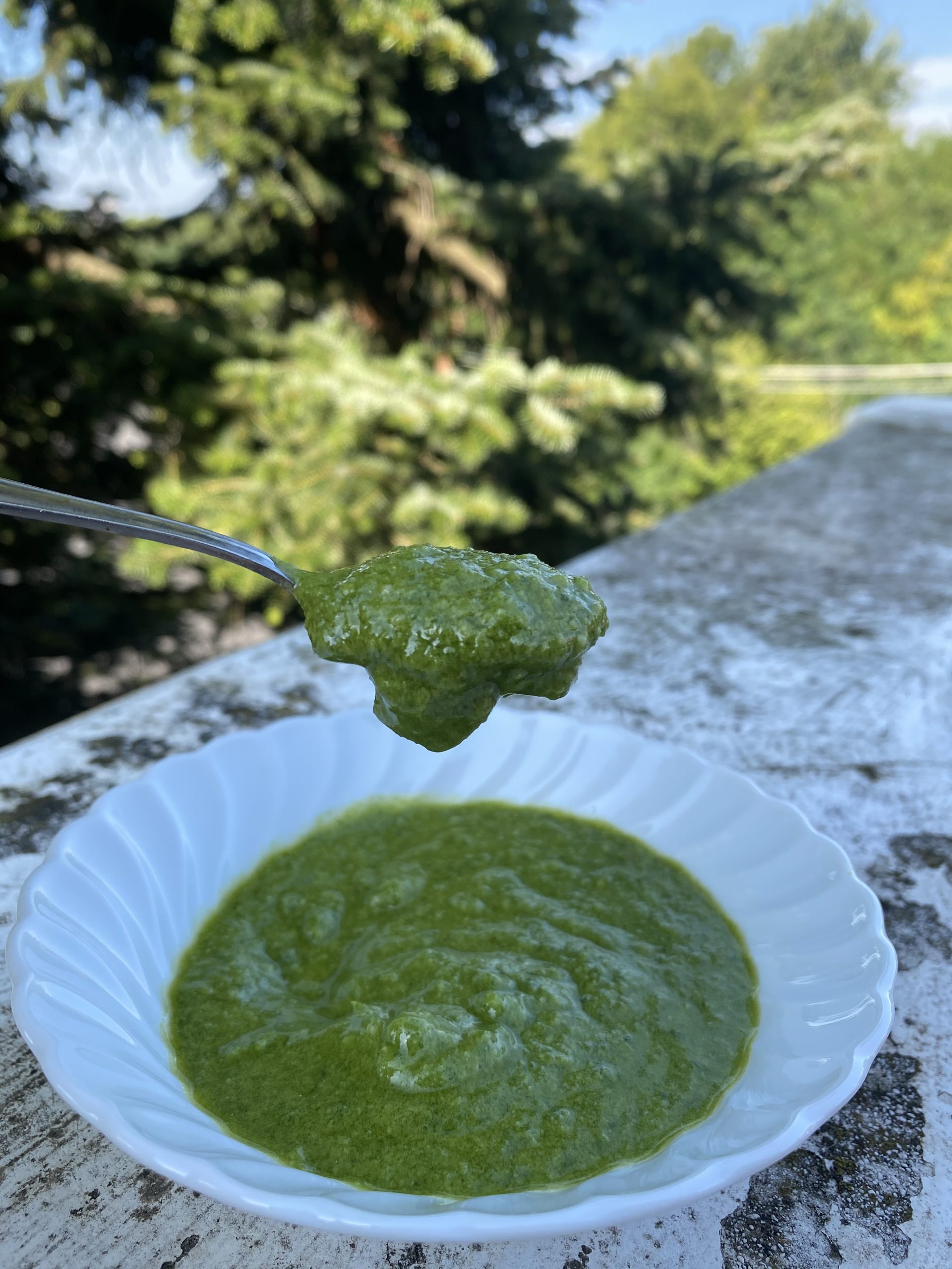 Pesto con il bimby
