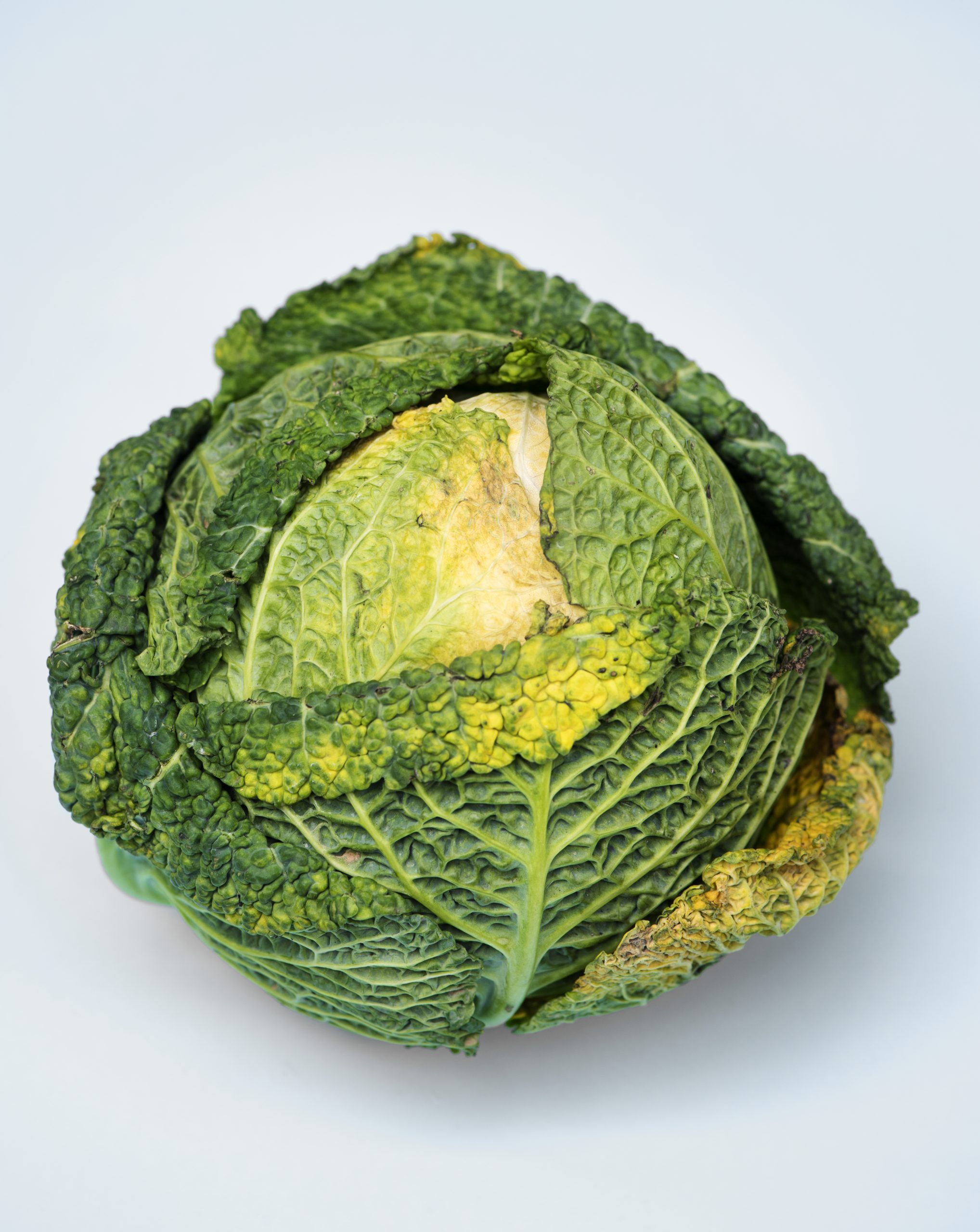 cavolo