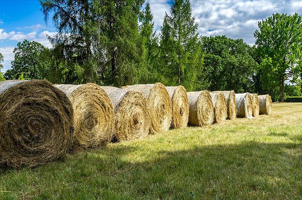 Siena: a fuoco una fattoria sequestrata alla mafia