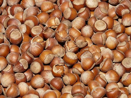 Calabria: i produttori locali di nocciole dicono no alla Ferrero