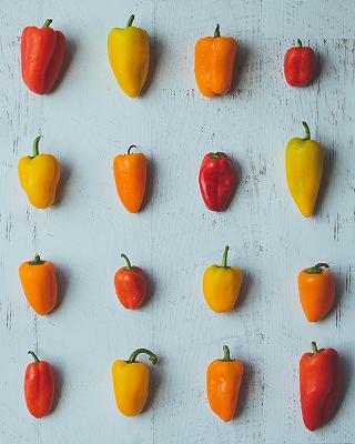 Le 15 varietà di peperoni italiani da riconoscere