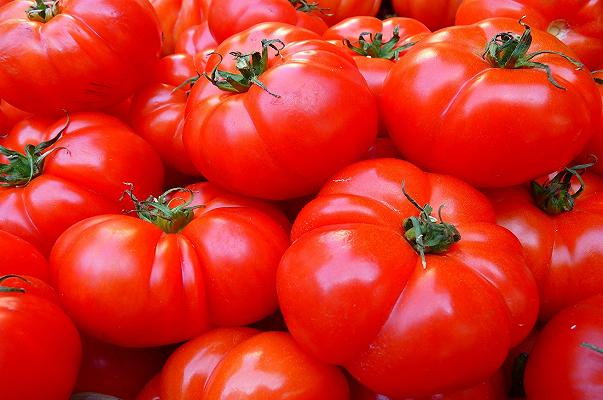 Agricoltura: attivate le misure di sostegno per la mancata raccolta dei pomodori