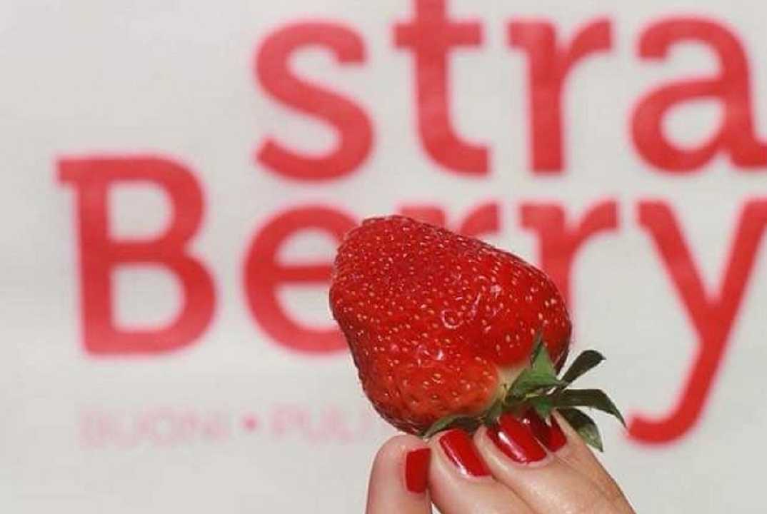 Straberry, startup lombarda di frutti di bosco, sequestrata per sfruttamento