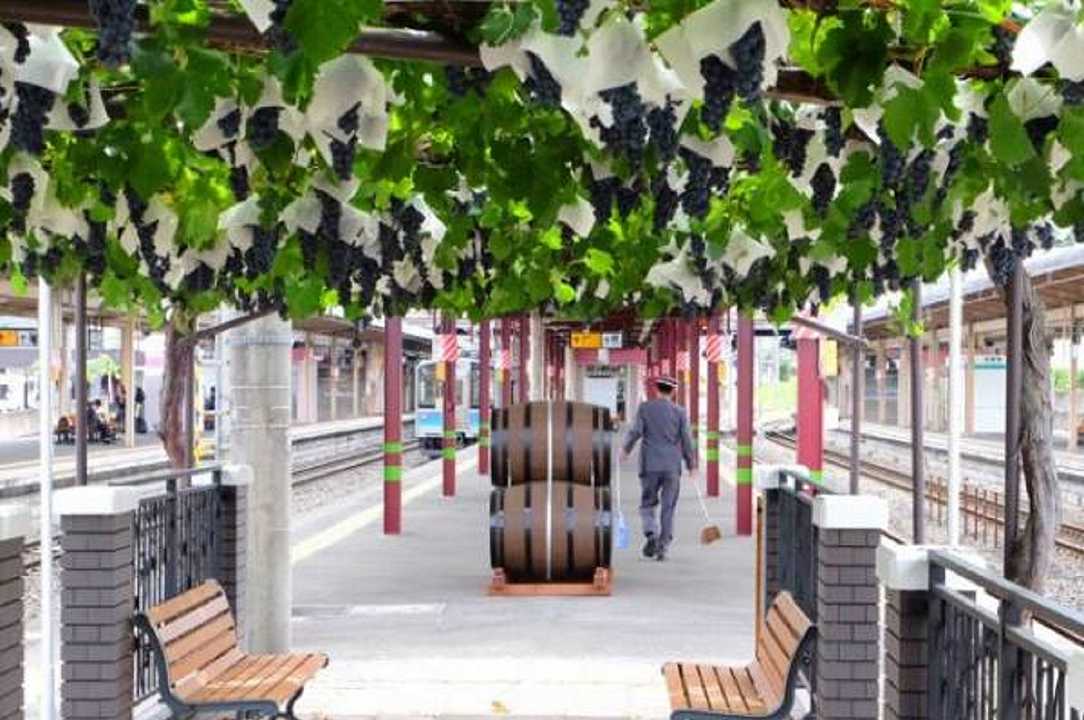 Giappone, in arrivo il vino da uva cresciuta in una stazione ferroviaria